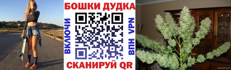 Что такое Петрозаводск Марихуана  Псилоцибиновые грибы  МЕФ 