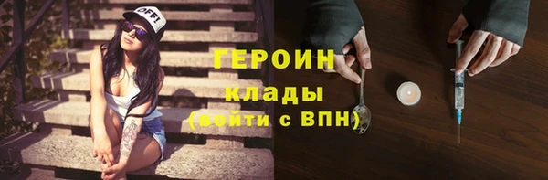 хмурый Аркадак
