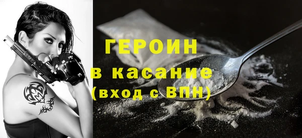хмурый Аркадак