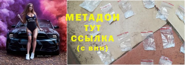 индика Арсеньев