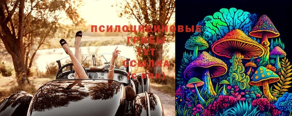 твердый Алзамай